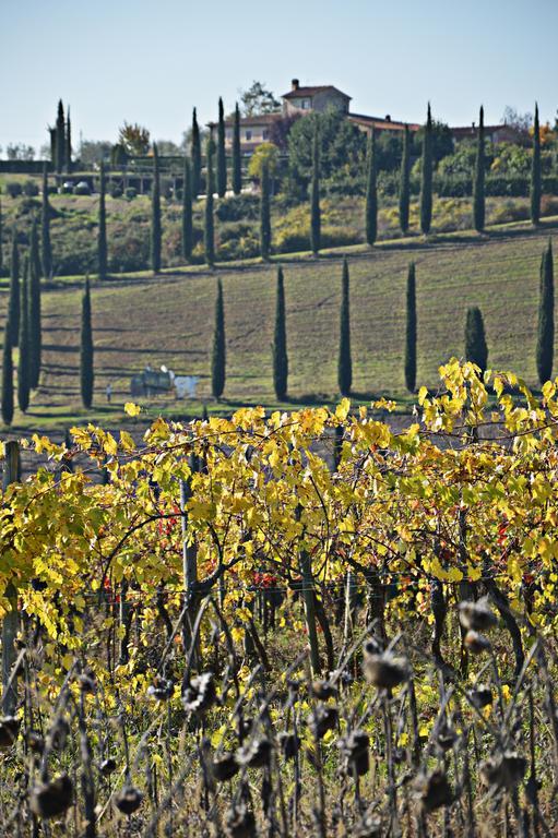 Adalberto - Nella Dimora Di Fulignano San Gimignano Extérieur photo